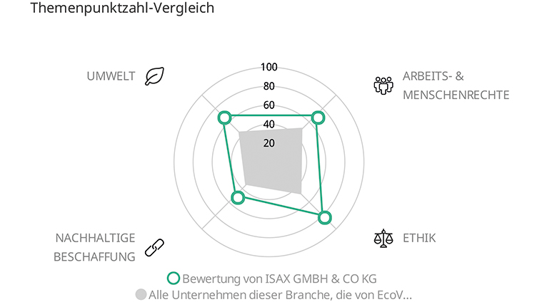 Detail-Rating in den einzelnen EcoVadis-Bereichen